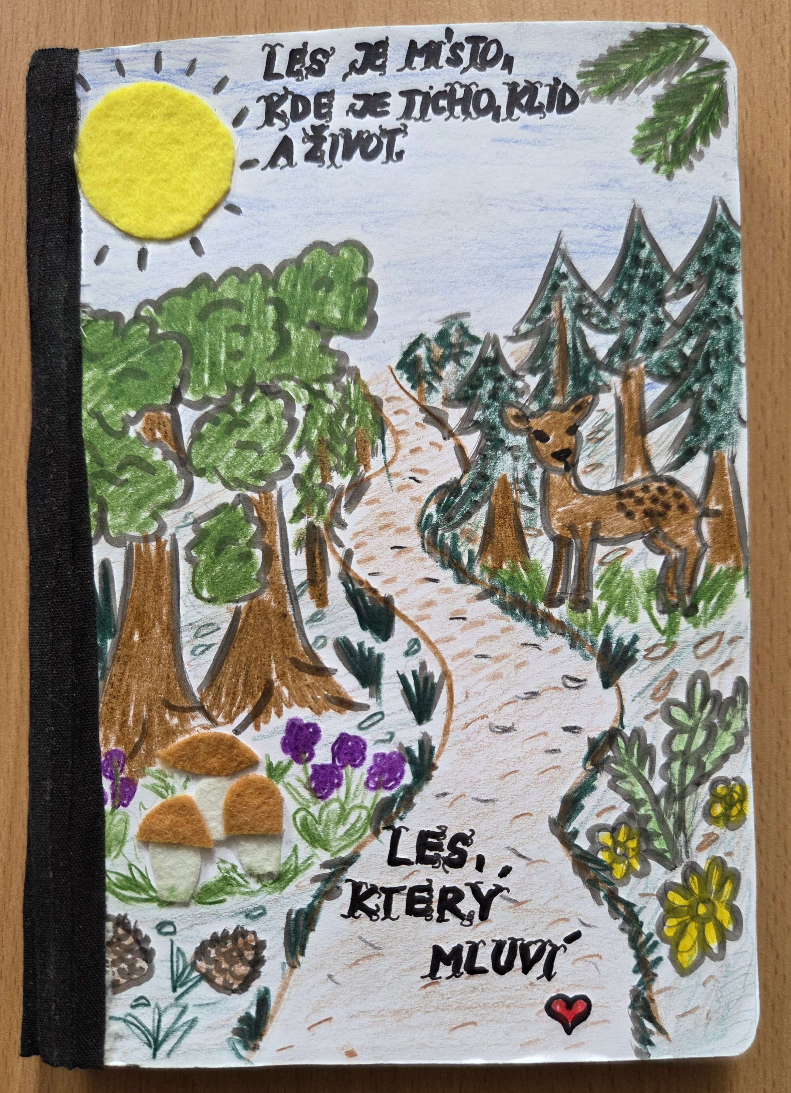 VII. kategorie - 3.místo
